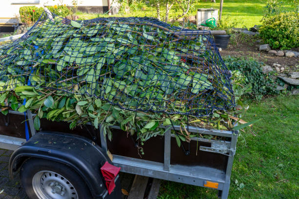 Best Scrap Metal Removal  in Maryvle, IL